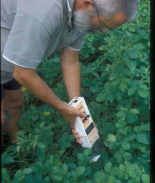 6 Figuur 1 (links). CropScan-metingen op aardappelproefveld, zomer 2002. Figuur 2 (rechts). Metingen aan aardappelplanten met PPM-meter, zomer 2002.