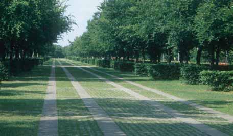 omgevende bomen een groene uitstraling