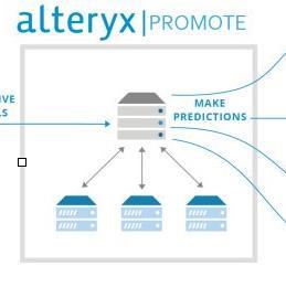 Alteryx Portfolio Scale Share Designer