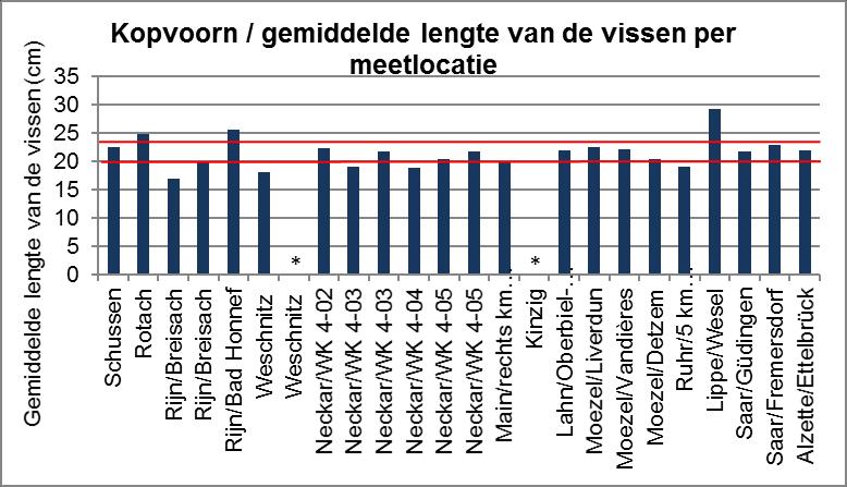 Figuur 4: Gemiddelde lengte (cm) van de kopvoorns, blankvoorns