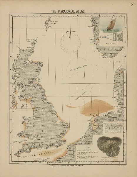 Olsen, O.T. (1883). The piscatorial atlas of the North Sea, English and St.