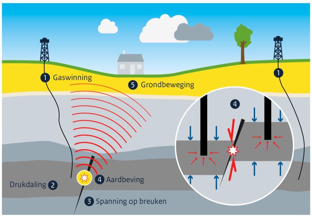 spanningstoestand ❸ op bestaande breuken in de ondergrond, die kan leiden tot bevingen ❹ (lokale, abrupte verschuivingen van gesteente langs bestaande geologische breuken). Figuur 2-1.