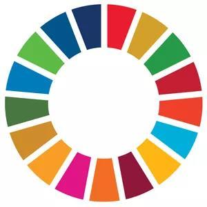 doelstellingen Gebaseerd op de SDG s en gelinkt aan Visie 2050 Focus op