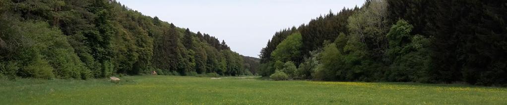 Landschap in de buurt van Blankenheim; Beekdal Na de lunch op een picknick plaats zijn we verder gelopen langs een beekdal met aan weerszijden een bos.