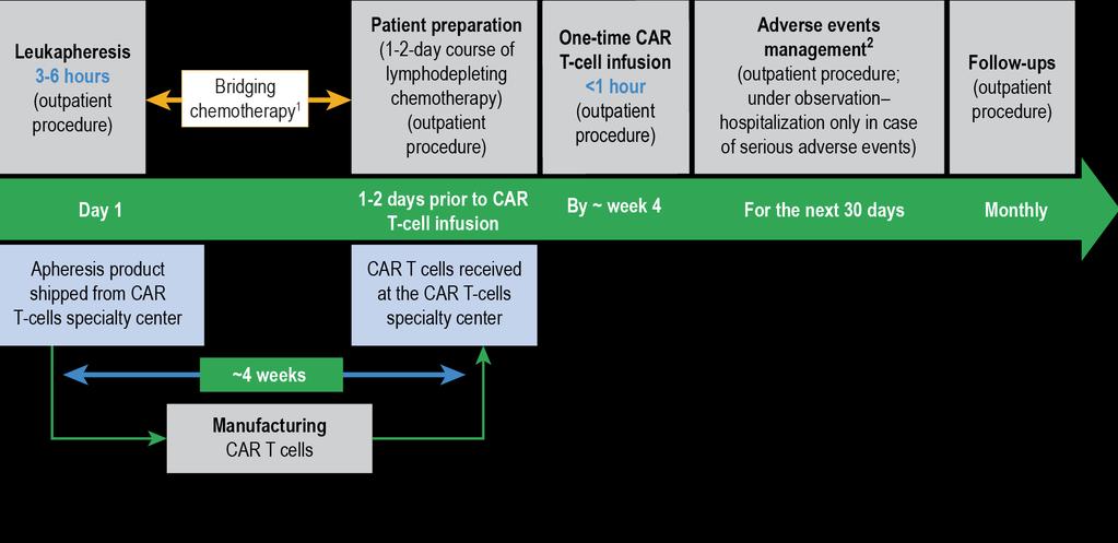 CAR-T patient timeline