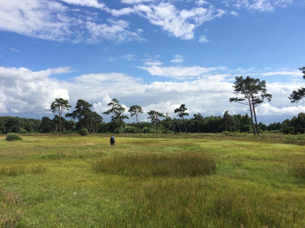 Herstellen (zeer) zwakgebufferde vennen In en nabij het natuurgebied verondiepen en dempen we diverse watergangen. Langs de Bergvennenweg verondiepen we de sloot.