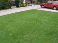 gazon Gras heeft een sierwaarde en/of een verkeersgeleidende functie of kan dienen als speelterrein. hoog (A) Gazons worden beoordeeld op vlakheid, volledigheid, maaibeeld en graskanten.