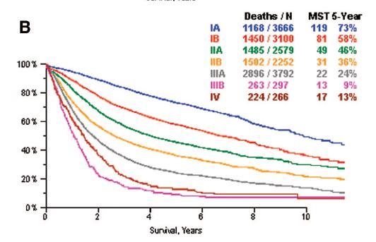 TNM staging for lung cancer >