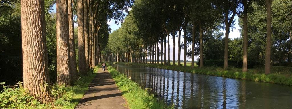 De Blauwe Ruit zichtbaar maken De vorm is niet bepaald. We zoeken naar een ingreep die in het oog springt, die ervoor zorgt dat de Blauwe Ruit herkend wordt.