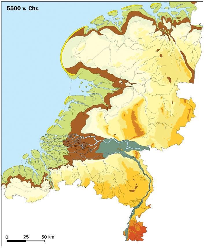 The Holocene transgressions Peat Major impact on present regional