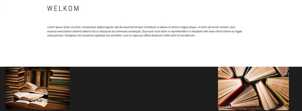 Lorem ipsum dolor sit amet, consectetur adipiscing elit, sed do eiusmod tempor incididunt ut labore et dolore magna aliqua.