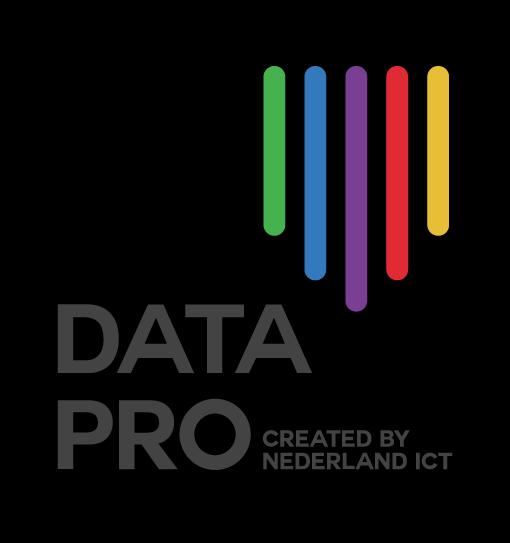 Data Pro Statement Deel 2.