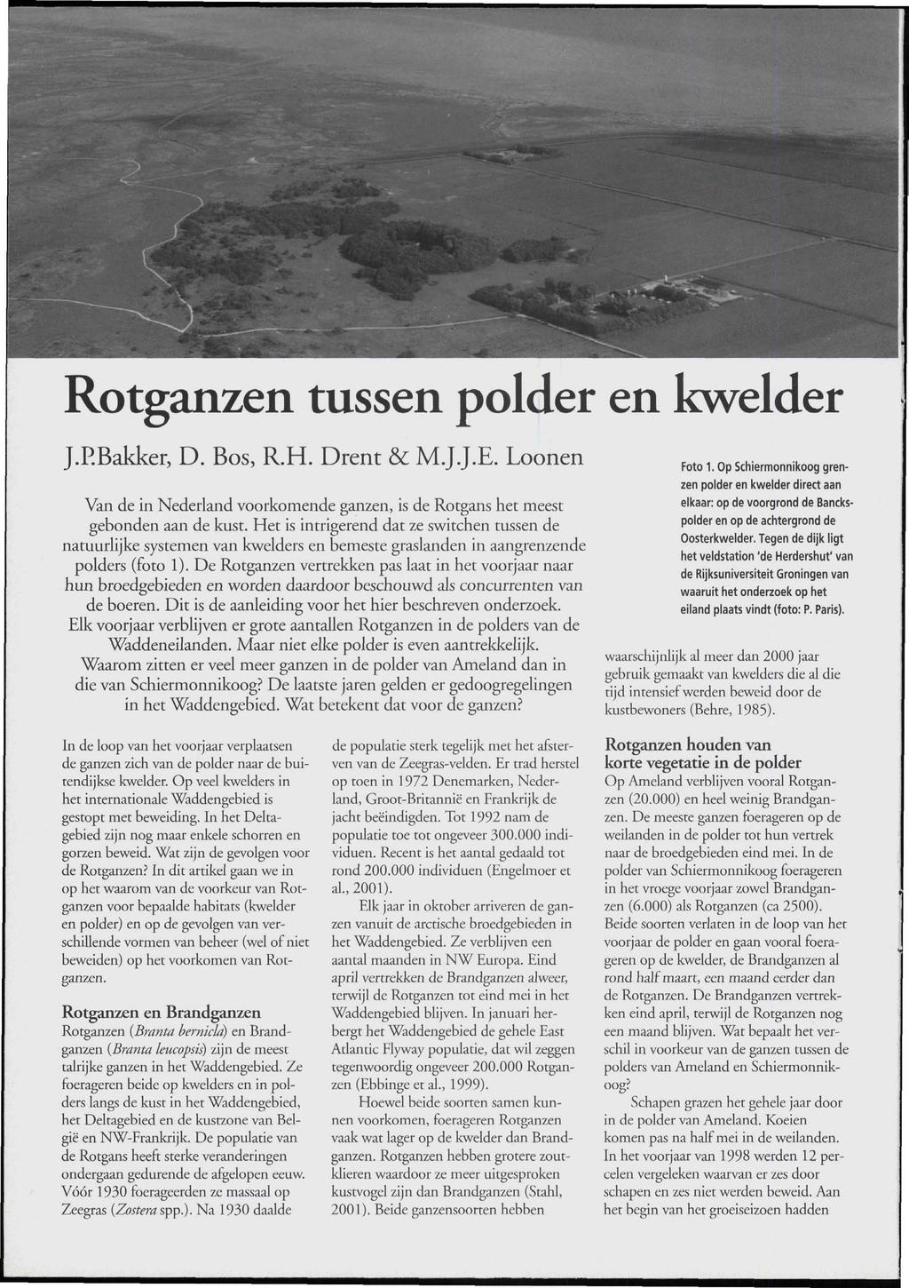 Rotganzen tussen polder en kwelder J.P.Bakker, D. Bos, R.H. Drent & M.J.J.E. Loonen Van de in Nederland voorkomende ganzen, is de Rotgans het meest gebonden aan de kust.