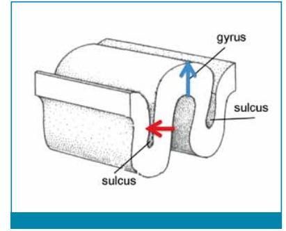 Recent worden magneto-encefalografie (MEG) en high-density elektro-encefalografie (HD- EEG) aan de preheelkundige evaluatie toegevoegd.