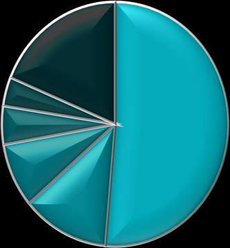 Irak 5,1% Syrië 8,5% Afghanistan