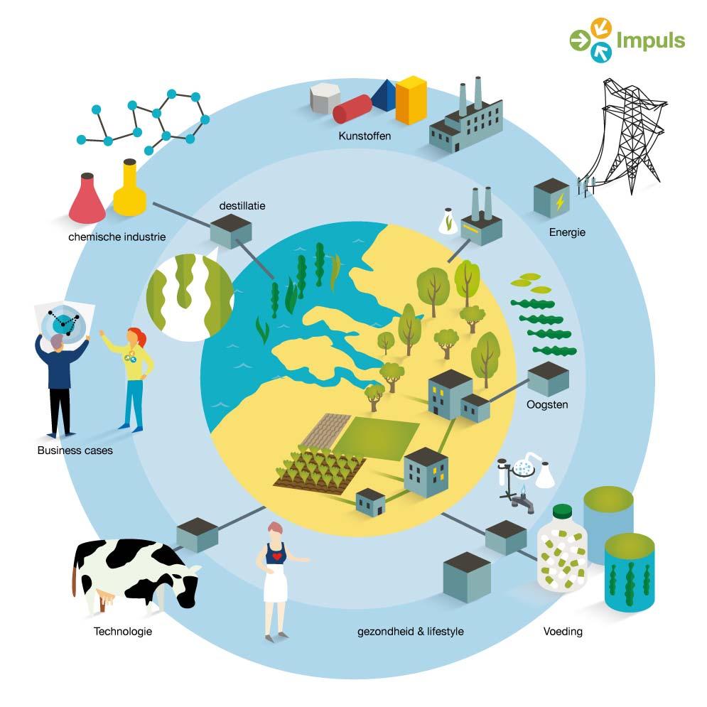 t 5.1 Biobased Economy _ > A / \ r{ ) Kunstoffer» 4* 1»i * A chemische industrie f' T Oo destillatie f ft, Business cases A x' menergie Q Impuls irl Technologie» y* r gezondheid & lifestyle Voeding