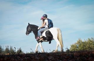 Trial. We willen uiteindelijk kunnen zeggen welke bestanddelen van de therapie het meest werkzaam zijn voor welke soort cliënt.