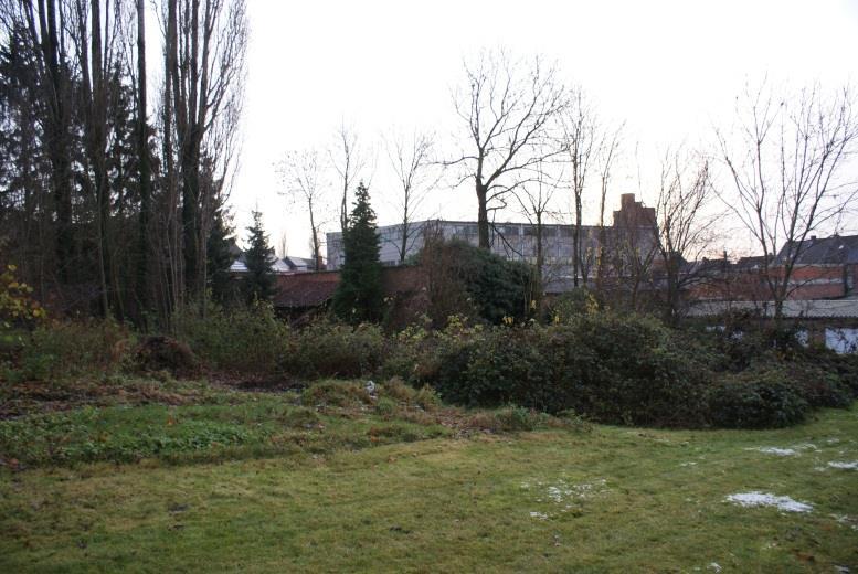 Binnengebied E, tussen Moerstraat, Korte Bergstraat, Lange Bergstraat en Hoenderstraat De zeer specifieke, lokale kenmerken van binnengebied E