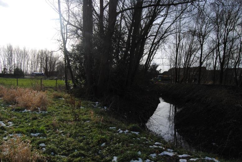 natuurwaarden in de vallei van de Molenbeek de aansluiting met de open ruimte gebied ten zuiden van Zuidlaan.