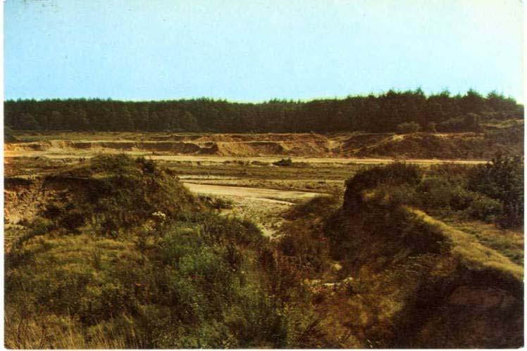 Rhenen In een aantal groeves in de buurt van Rhenen komen pleistocene lagen aan de dag. Op de foto is een overzicht te zien van de Groeve Kwintelooyen (circa 1955).