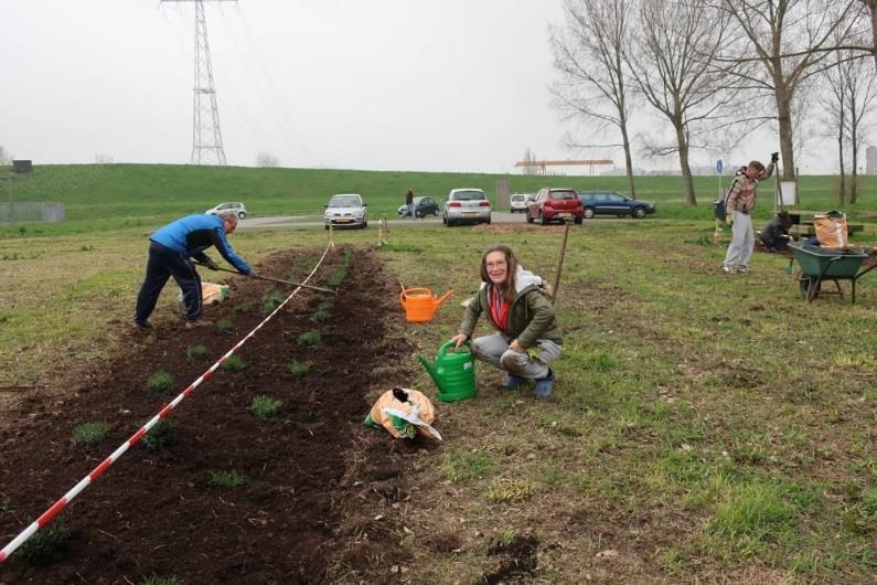 In de week hier vooraf was het voorterrein geëgaliseerd en 2 brede stroken