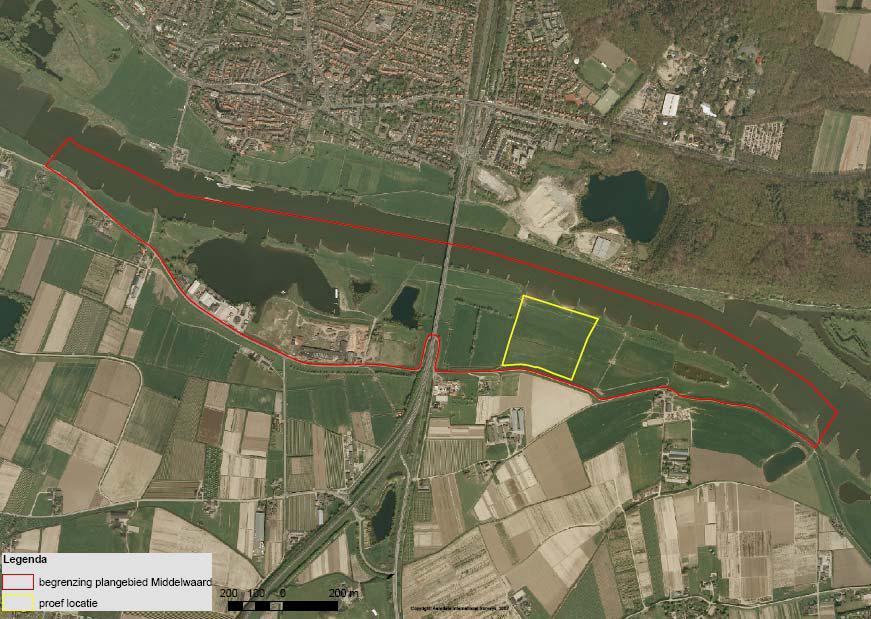 1 Inleiding 1.1 Aanleiding In 1993 en 1995 hadden de Rijn en de Maas te kampen met zeer hoge waterstanden.