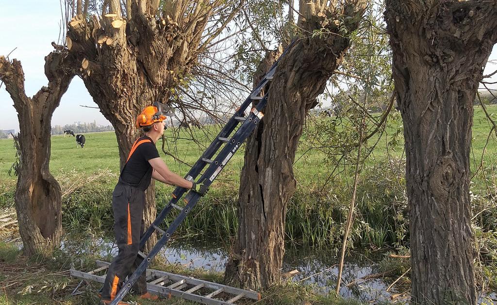 dreggen Traditiegetrouw werden er voorafgaand aan de natuurwerkdag voorbereidingen getroffen.