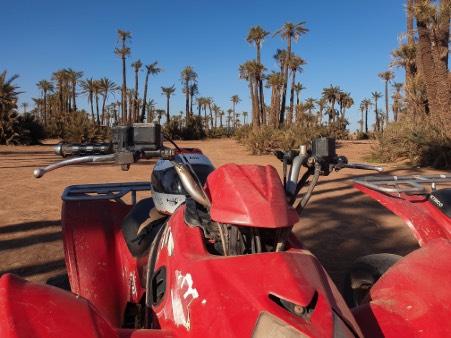 Fietstour, avondje uit (entree + diner), bezoek tuin van Majorelle en YSL museum, kookworkshop, quad of dromedaris-rit, hammam. 5. Boekje Time to Momo Marrakech (1 per factuur). Niet inbegrepen: 6.