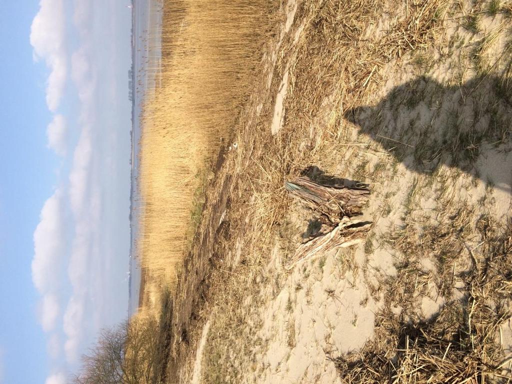 Schwarztonnen Sand Blik op de Elbe vanaf