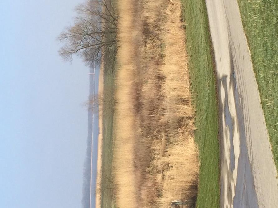 Schwarztonnen Sand De Elbe met