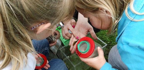 DE GAVERS - NATUUR- EN MILIEU EDUCATIE KLEUTERS 2DE EN 3DE 3DE Beestig natuurpad - zintuiglijk leerpad met spelletjes en opdrachten over dieren in de buurt Flierefluiters - speels leerpad met