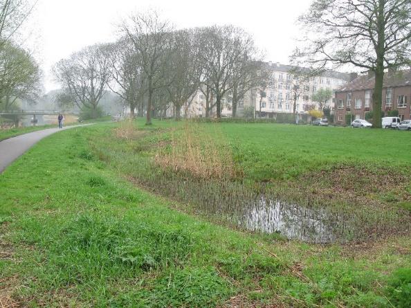 3 De oevers van de Kromme Rijn bij de Mesdaglaan In 2008, 2010 en 2012 heeft het bureau Viridis dit gebied gemonitord. Dit bureau had het gebied in vier delen verdeeld.