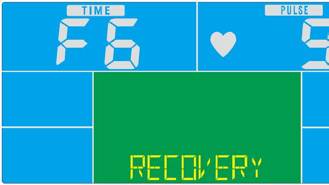 Herstel - Houd na het oefenen voor een bepaalde tijd de handgrepen vast en druk op de knop RECOVERY.