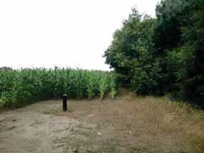 Hierin worden voorstellen gedaan voor de inrich ng, de beplan ng en het toekomst beheer van de natuur rondom het landgoed. Het voorliggende kader vormt hier een nadere verfijning van.