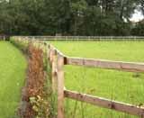 Het afgraven van de humuslaag zorgt voor verschraling en afwisseling in de nieuw te ontwikkelen natuur. Het slingerende karakter van de weg wordt door de afgraving nog eens versterkt.