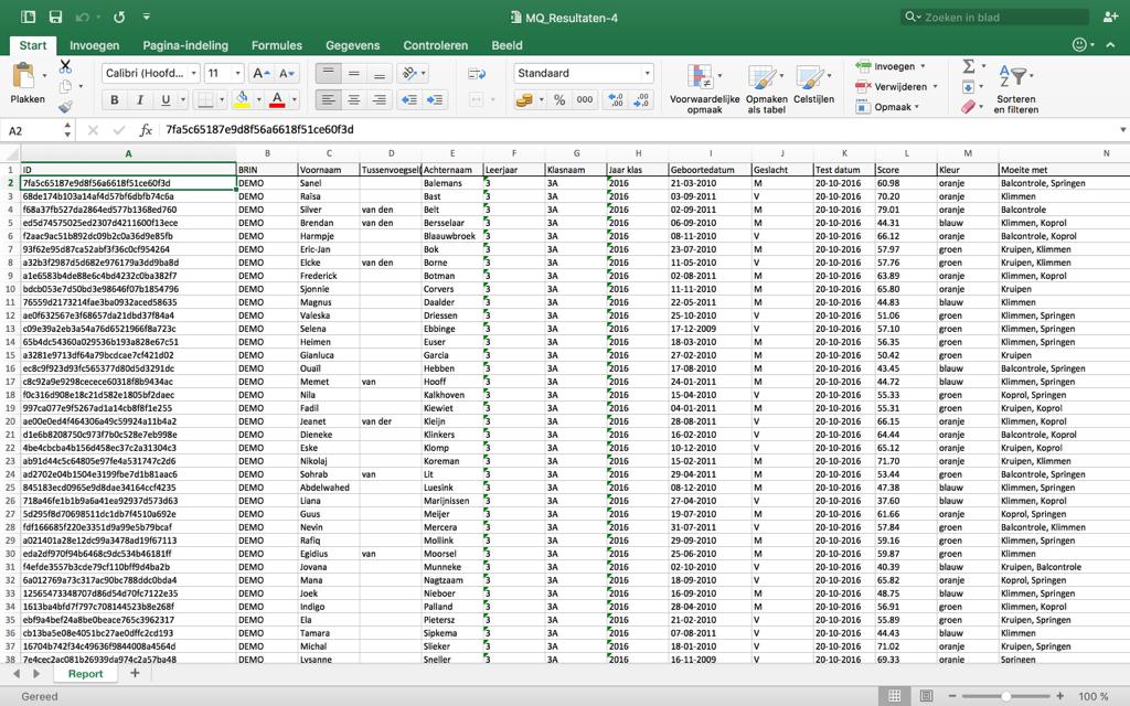 In het geëxporteerde excel-document verschijnen de