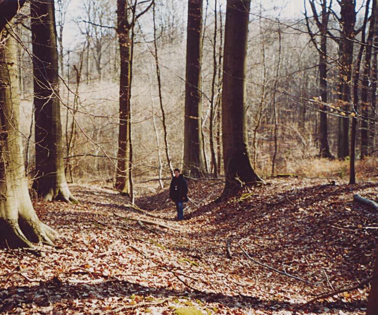 Brakona jaarboek 2003 7 gaan worden of relatie (1) ook geldig is voor de ravijnen onder bos. Tenslotte werd gezocht naar indicaties omtrent de ontstaansomstandigheden van de ravijnen onder bos.