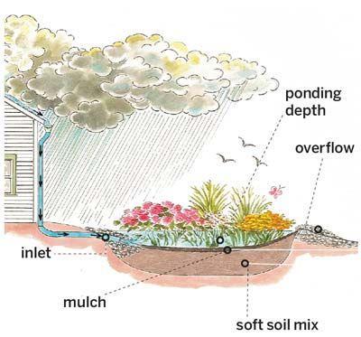 Regen infiltreren - regentuin Verlaging Instroom