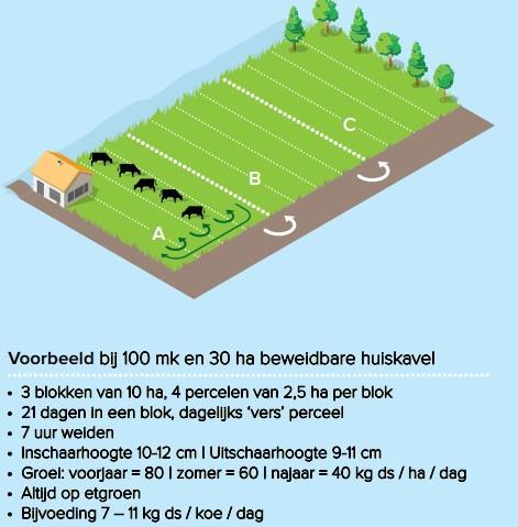 2.3: Roterend standweiden Een nog nieuwere vorm van standweiden is roterend standweiden. Hierbij wordt de huiskavel opgedeeld in 2 of 3 blokken.