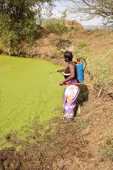 Majete Malaria Project In 2018 presenteerde het internationale onderzoeksteam van het Majete Malaria Control Project (van de universiteiten van Amsterdam, Wageningen, Malawi en Liverpool) na vier