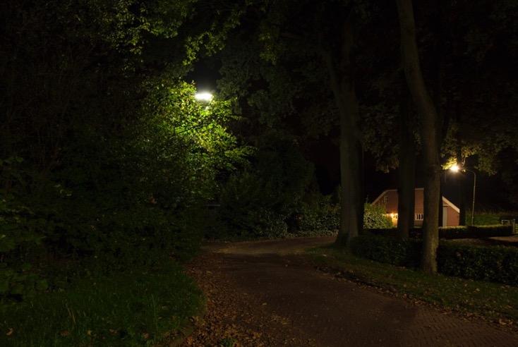 Foto: Schoolstraat in Drouwen. Verlichting staat in de boom, waardoor er geen goed licht is op de weg.