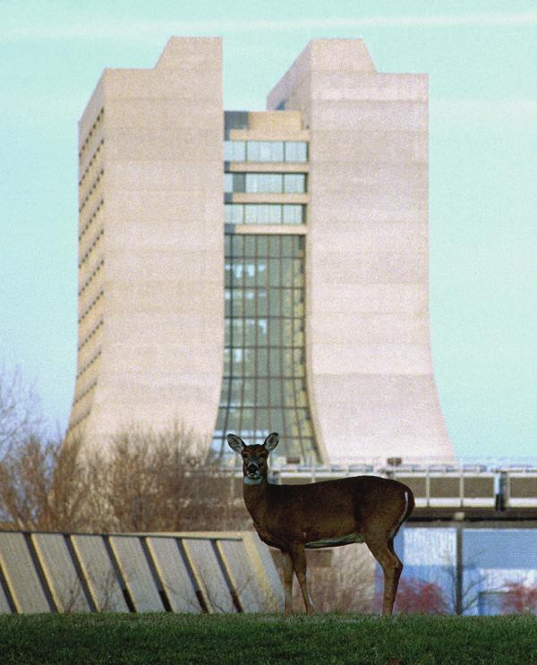 Uiteindelijk maakten op 3 maart 1995 zowel CDF als DØ de ontdekking van het top quark wereldkundig.