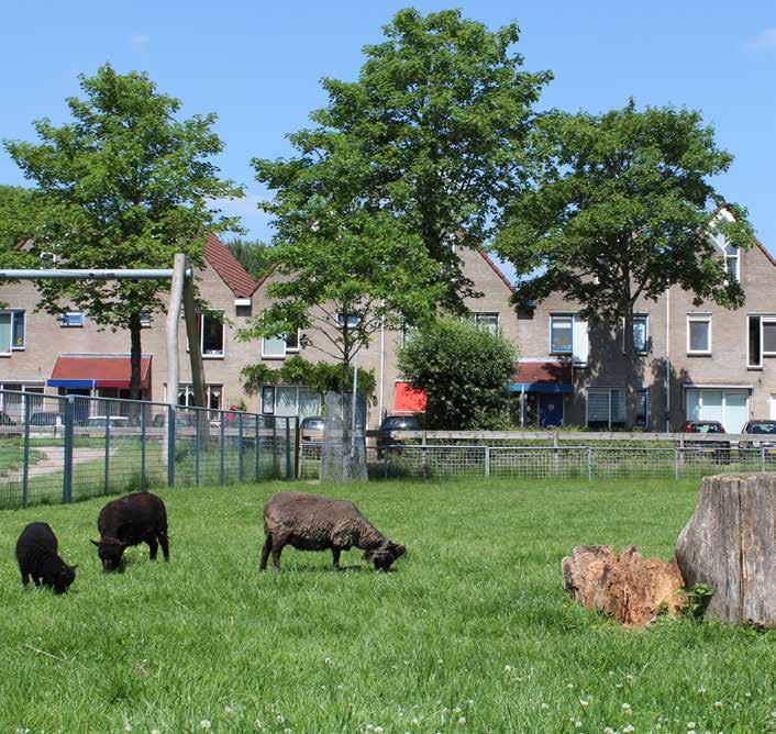 Daarnaast biedt de naastgelegen wijk Kardinge vele sporten recreatiemogelijkheden.