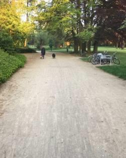 De nabijheid van de park Blauwe Hoeve met Cauletwandeling biedt een opportuniteit om de site Loofstraat en Wolvenstraat de verbinden met het fietspad in het park tot aan de Burgemeester Gillonlaan.