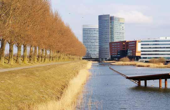 34 Advies Visuele Integriteit - Kwaliteitsteam Nieuwe Hollandse Waterlinie In gebieden onder stedelijke of infrastructurele druk ligt dat anders.