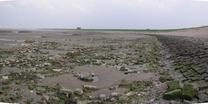 Baalhoek slik en primairschor jaar van uitvoering 1997 Foto