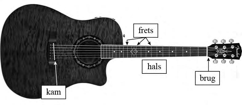 Gitaar In figuur zie je een gitaar. De snaren zijn gespannen tussen de brug en de kam. Op de hals zijn zogenoemde frets (smalle metalen strips) te zien.