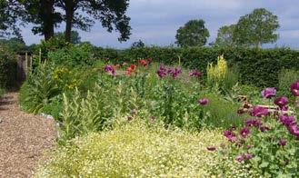 ansen DE GROENE HOF De kruidentuin is de parel van De Groene Hof. In de tuin bloeien het hele seizoen ongeveer 160 kruiden en geneeskrachtige planten te vinden.