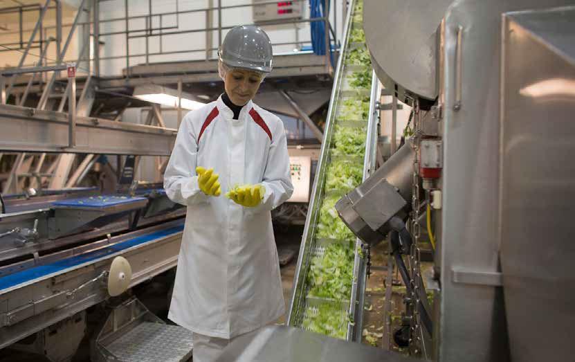 Voorkom imagoschade door de juiste bedrijfskleding. TekstHygiëne heeft topprioriteit voor alle ondernemers in de foodsector.