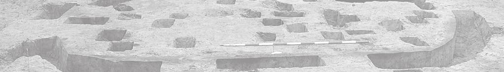 van der Leije Archol Onderzoek naar bewoning en grafritueel uit de late bronstijd en